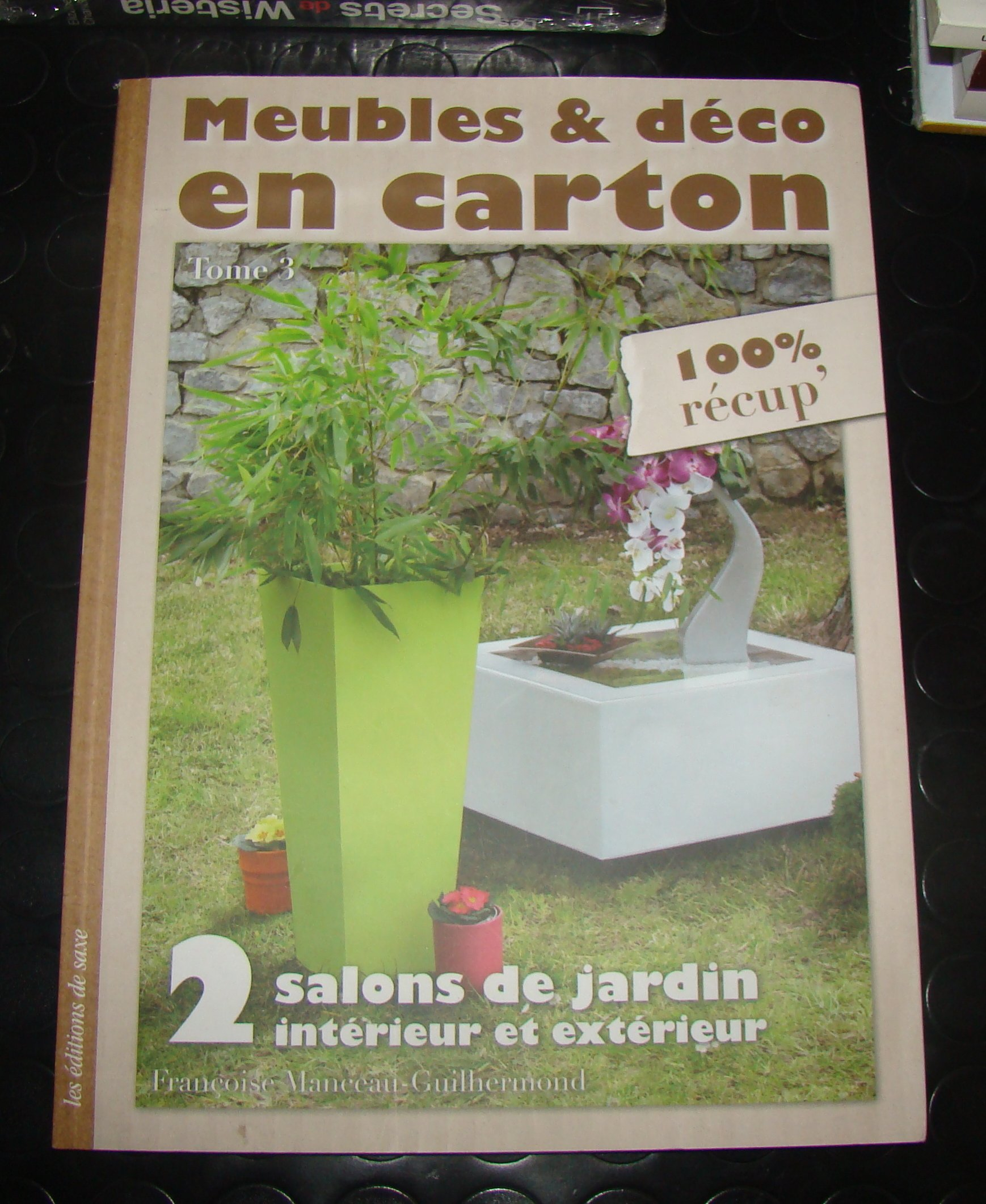 Meubles & déco en carton. Vol. 3. 2 salons de jardin, intérieur et extérieur