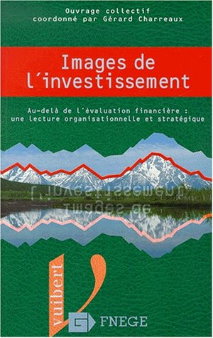 Images de l'investissement : au-delà de l'évaluation financière, une lecture organisationnelle et st