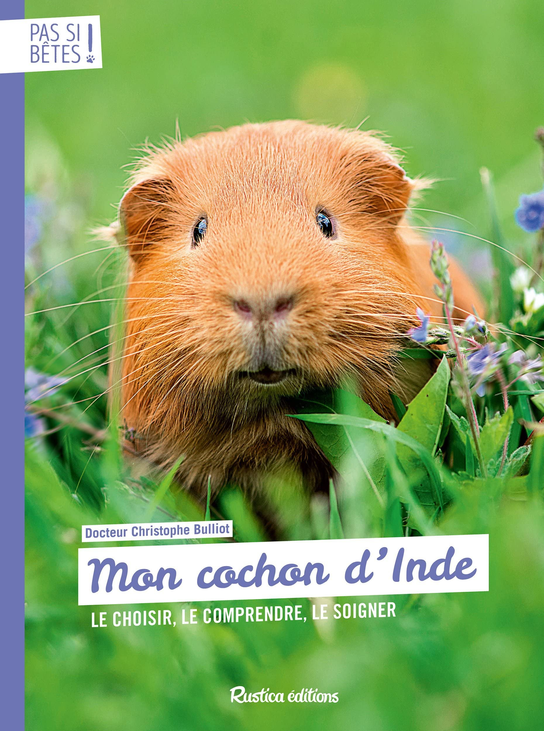 Mon cochon d'Inde : le choisir, le comprendre, le soigner