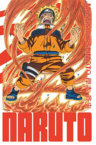 Naruto : édition Hokage. Vol. 13