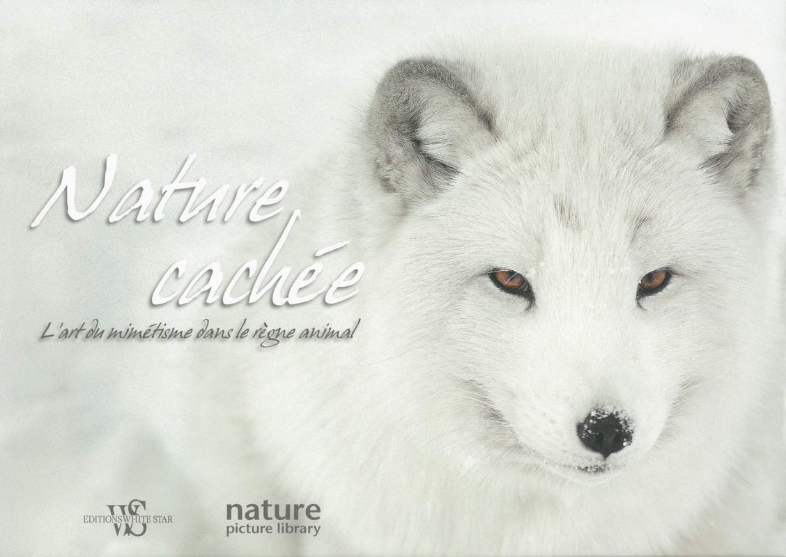 Nature cachée : l'art du mimétisme dans le règne animal
