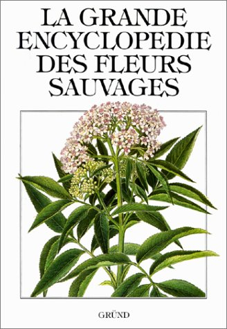 Fleurs sauvages