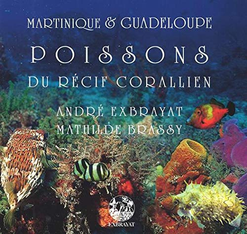 Martinique & Guadeloupe : merveilles du récif corallien. Vol. 3. Les poissons