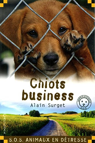 Chiots business