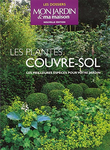 Les plantes couvre-sol : les meilleures espèces pour votre jardin