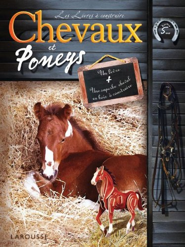 Chevaux et poneys