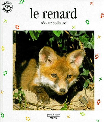 Le Renard : rodeur solitaire