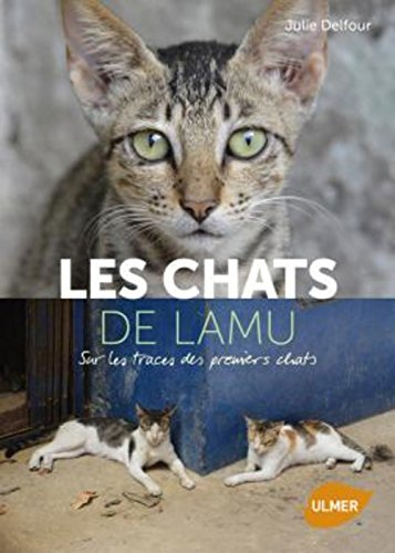 Les chats de Lamu : sur les traces des premiers chats