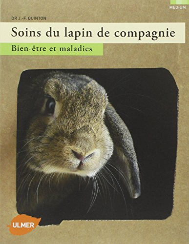 Soins du lapin de compagnie : bien-être et maladies