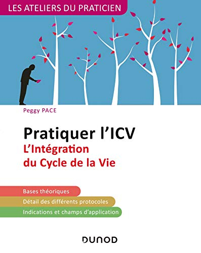 Pratiquer l'ICV : l'intégration du cycle de la vie : bases théoriques, détail des différents protoco