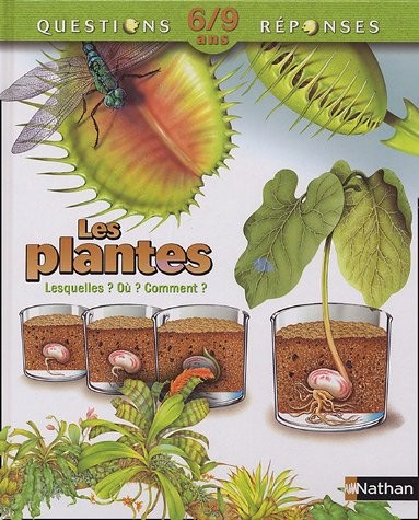 Les plantes : lesquelles ? Où ? Comment ?