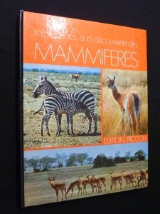 safari photo à la découverte des mammifères