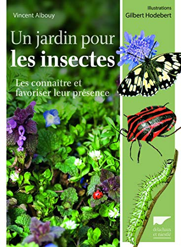 Un jardin pour les insectes : les connaître et favoriser leur présence