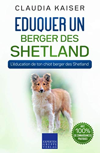 Eduquer un berger des Shetland: L'éducation de ton chiot berger des Shetland