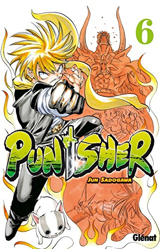 Punisher. Vol. 6