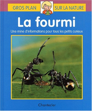 La fourmi : une mine d'informations pour tous les petits curieux