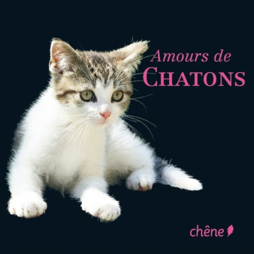 Amours de chatons