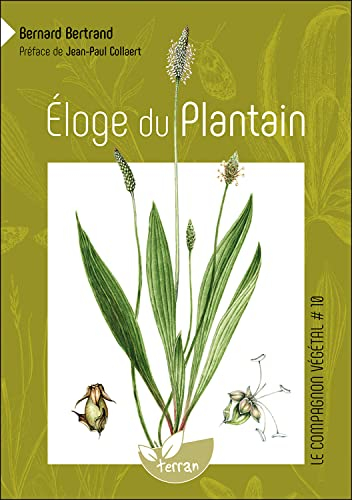 Eloge du plantain