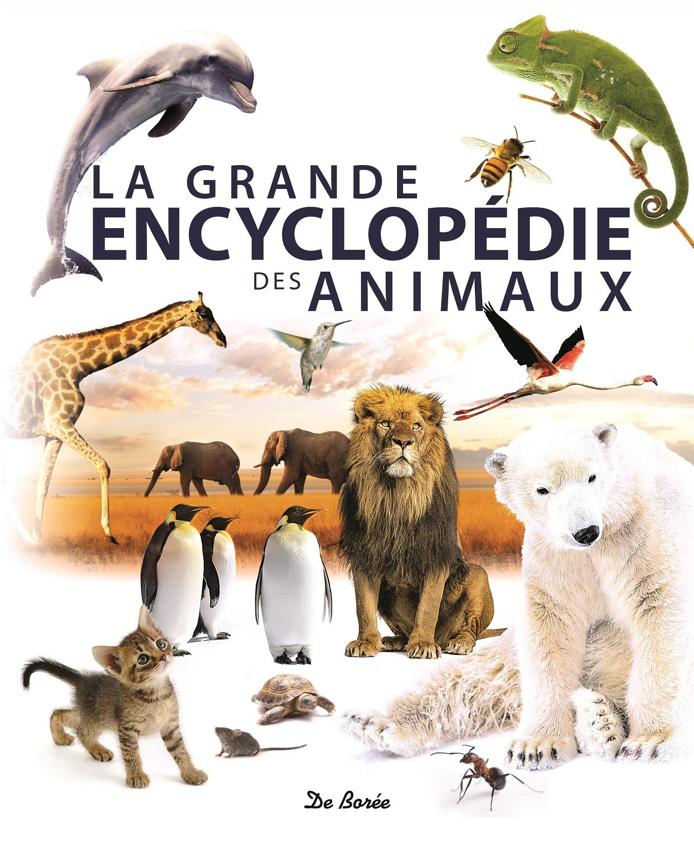 La grande encyclopédie des animaux : caractéristiques, comportements, vie sociale, détails insolites