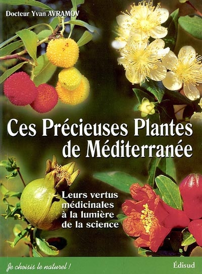 Ces précieuses plantes de Méditerranée : leurs vertus médicinales à la lumière de la science