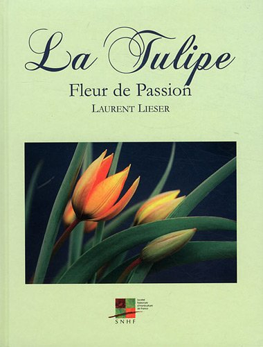 La tulipe : Fleur de Passion