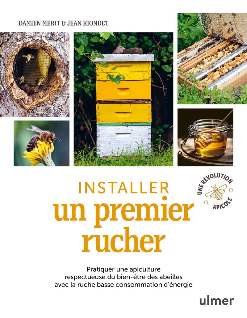 Installer un premier rucher : pratiquer une apiculture respectueuse du bien-être des abeilles avec l