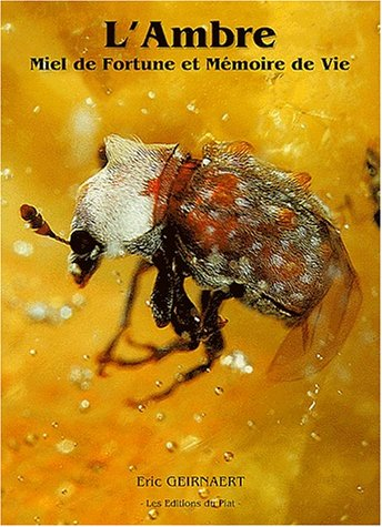 L'ambre, miel de fortune et mémoire de vie