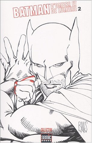 Batman : d'ombre et de lumière. Vol. 2