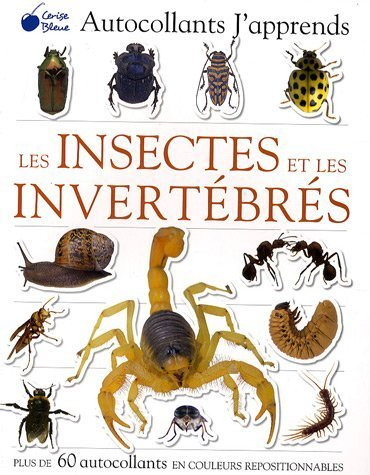 Les insectes et les invertébrés