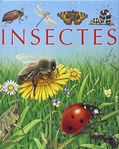 Les insectes : pour les faire connaître aux enfants