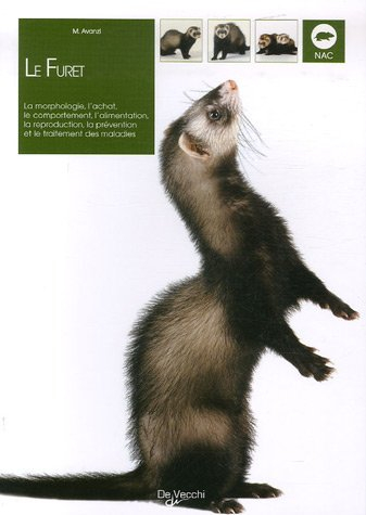 Le furet : la morphologie, l'achat, le comportement, l'alimentation, la reproduction, la prévention 