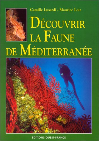 Découvrir la faune de Méditerranée