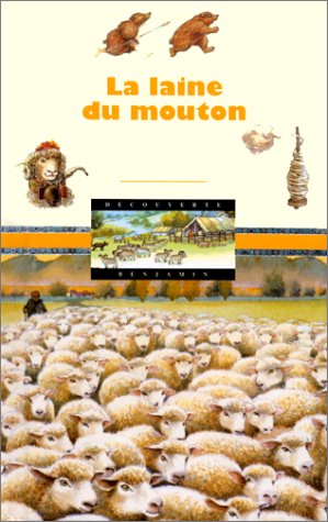 La laine du mouton