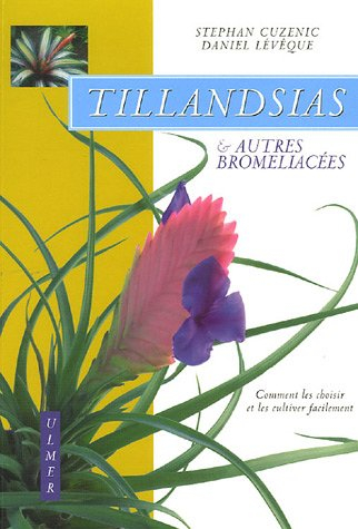Tillandsias & autres bromeliacées