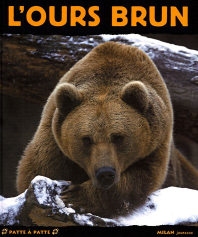 L'ours brun