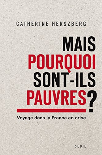 Mais pourquoi sont-ils pauvres ? : voyage dans la France en crise