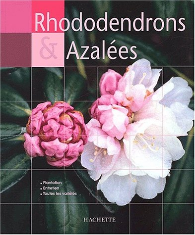 Rhododendrons et azalées