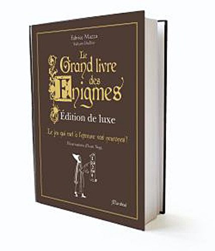 Le grand livre des énigmes : plus de 500 énigmes, casse-tête et jeux de logique : édition de luxe