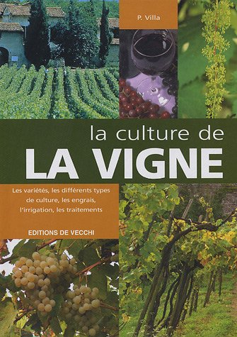 La culture de la vigne