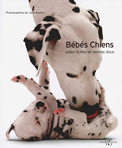 Bébés chiens : jolies truffes et ventres doux