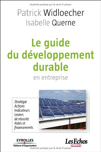 Le guide du développement durable en entreprise : stratégie, actions, indicateurs, leviers de réussi