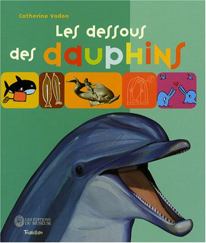 Les dessous des dauphins et des cachalots