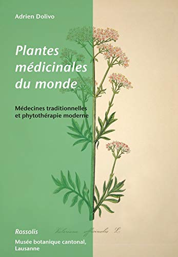 Plantes médicinales du monde : médecines traditionnelles et phytothérapie moderne