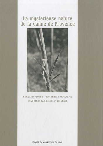La mystérieuse nature de la canne de Provence