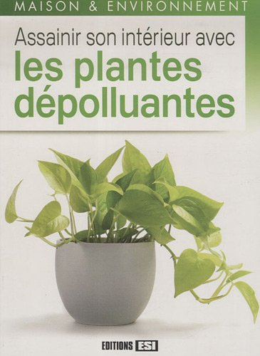 Assainir son intérieur avec les plantes dépolluantes