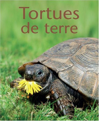 Tortues de terre
