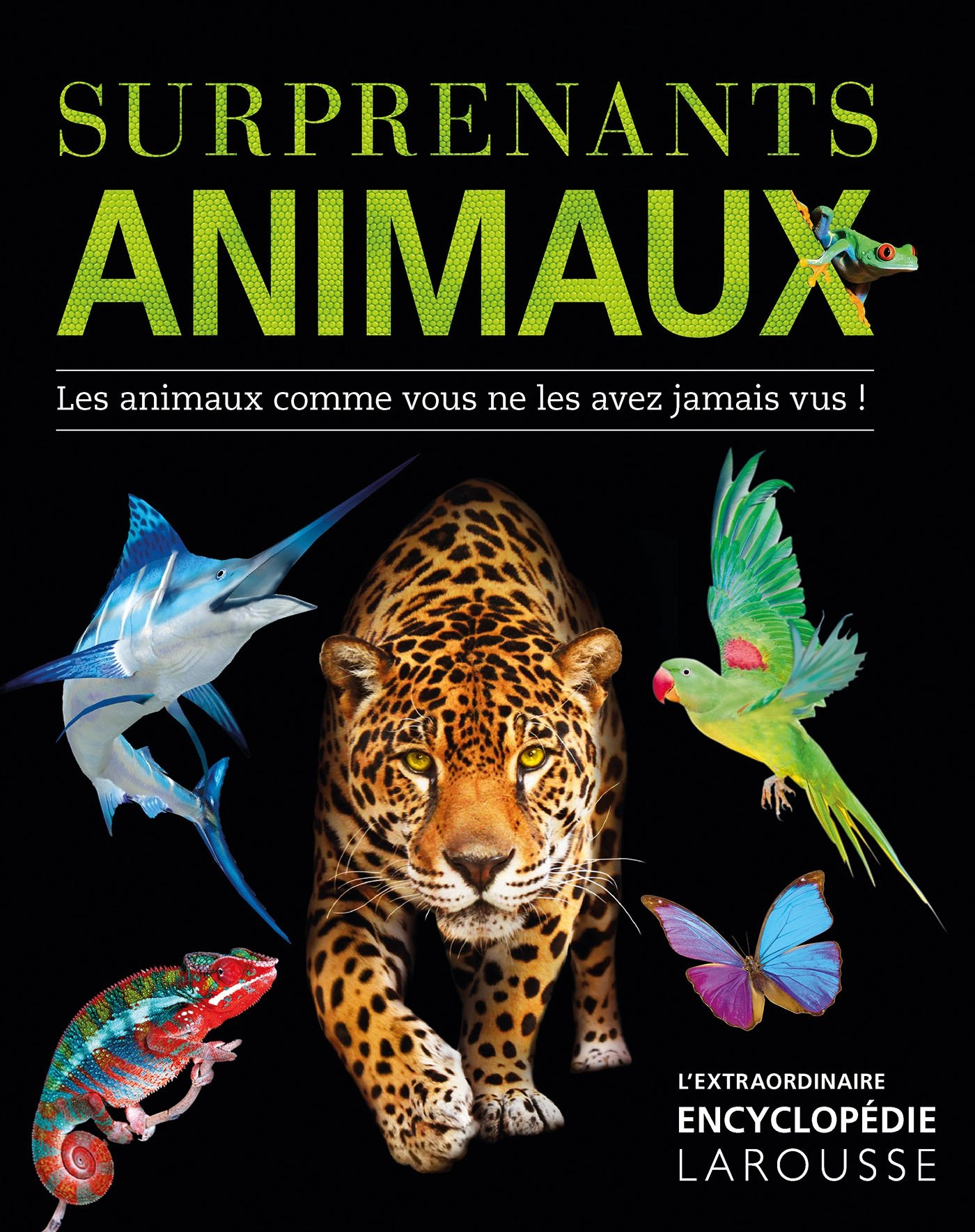 Surprenants animaux : les animaux comme vous ne les avez jamais vus !