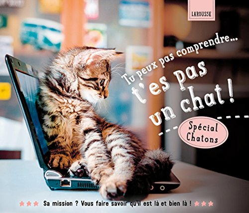 Tu peux pas comprendre, t'es pas un chat !. Spécial chatons