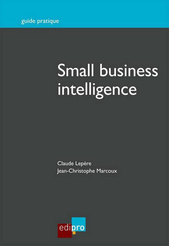 Small business intelligence
