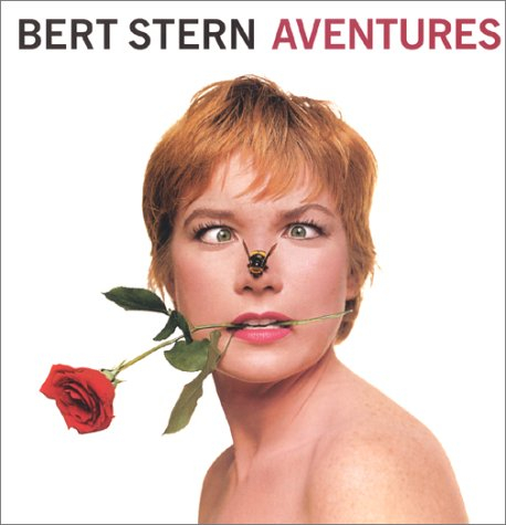 Bert Stern, aventures